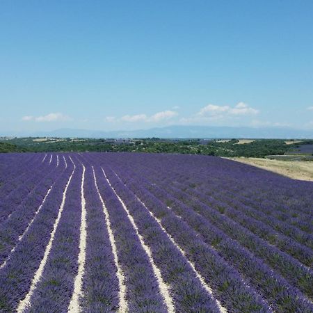 Le Jas Des Aiguiers Ξενοδοχείο Saint-Saturnin-les-Apt Εξωτερικό φωτογραφία