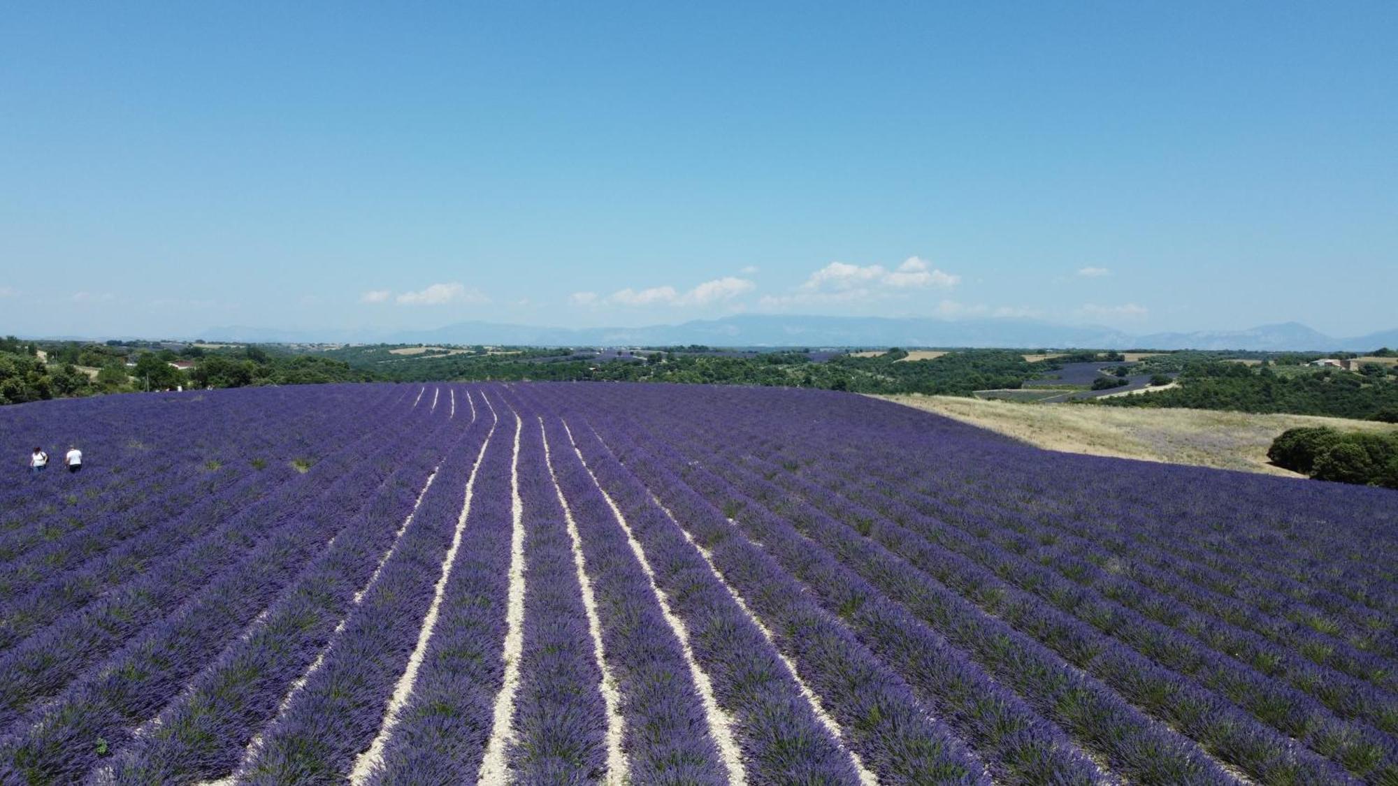 Le Jas Des Aiguiers Ξενοδοχείο Saint-Saturnin-les-Apt Εξωτερικό φωτογραφία